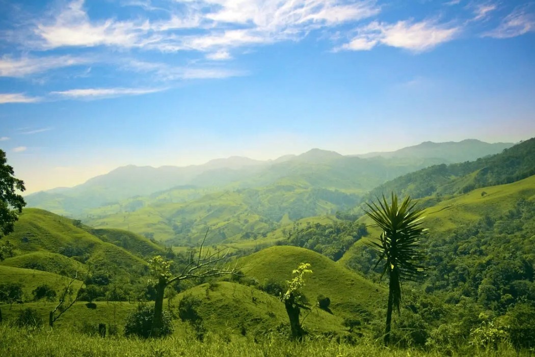 🌿Vivez l'aventure au cœur du Costa Rica ! 🌺