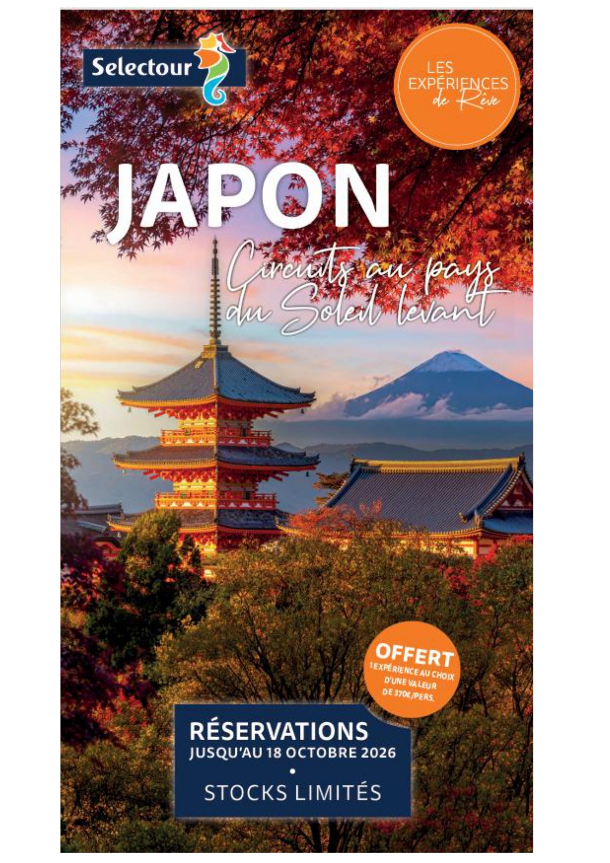 EXPERIENCE DE REVE AU JAPON!