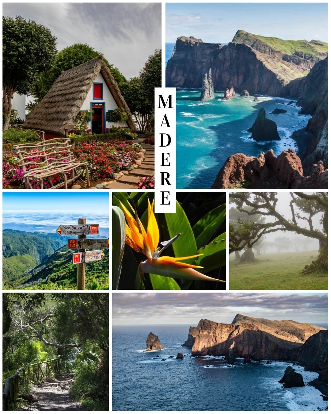 🌿 Madère, l’île aux merveilles