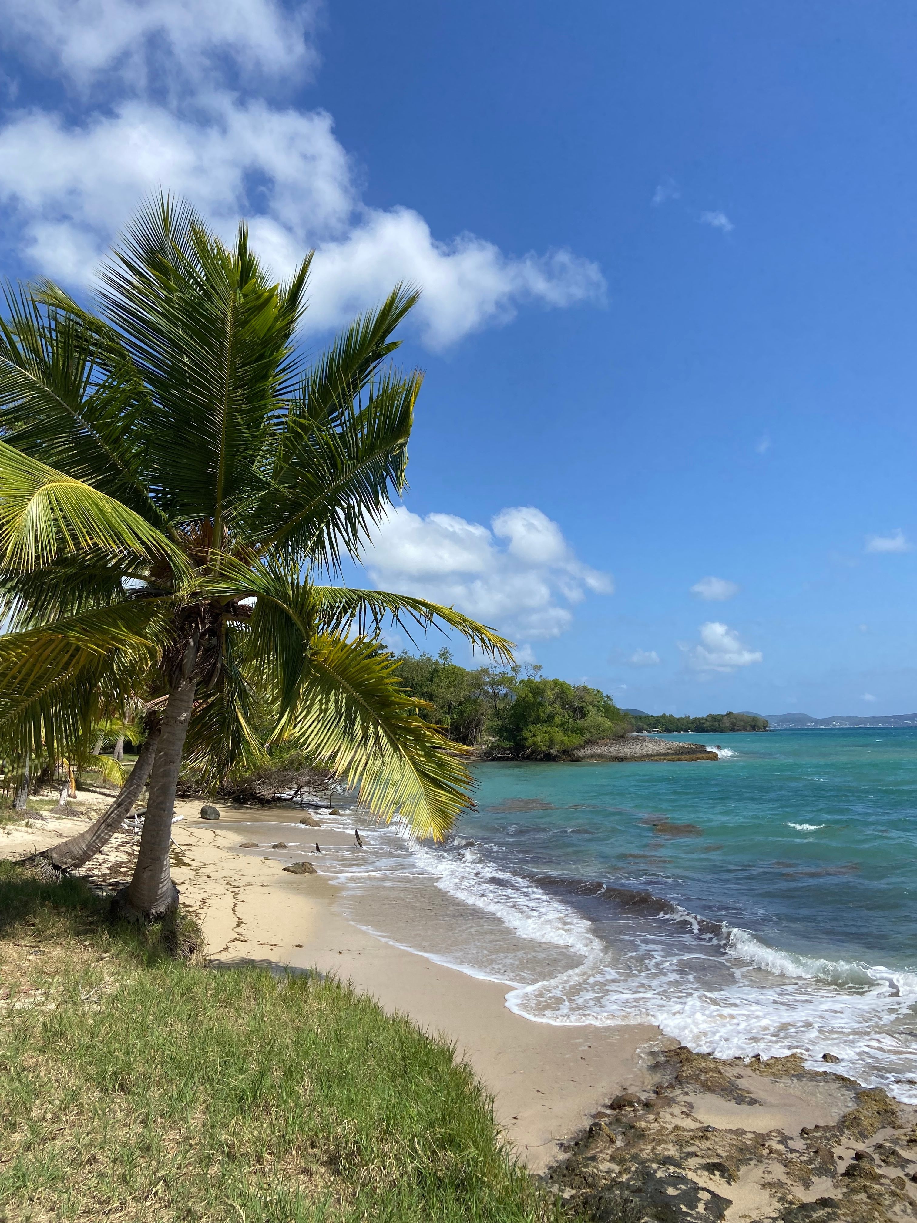 🌴 Cet hiver, cap sur les Antilles ! ☀️🌊