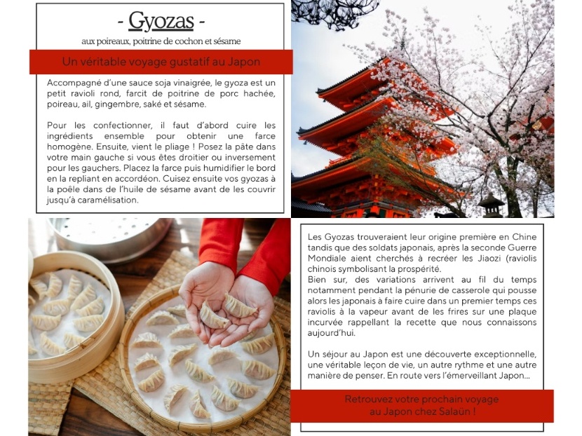 Escale gourmande au Japon : les gyozas à l’honneur