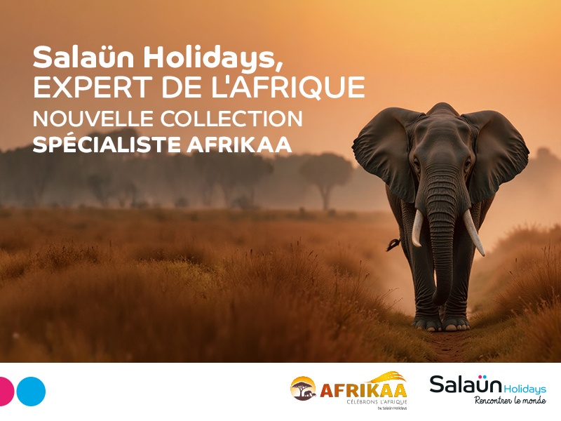 🦁 AFRIKAA : nouvelle marque, nouveaux voyages